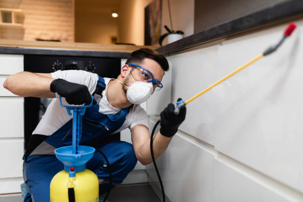 Best Cockroach Control Services  in Medford, MN