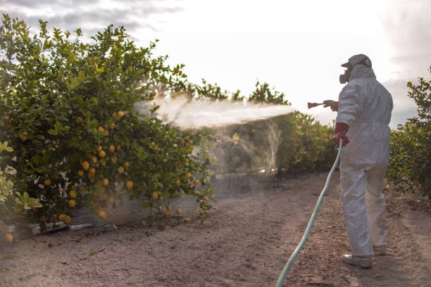 Best Emergency Pest Control  in Medford, MN