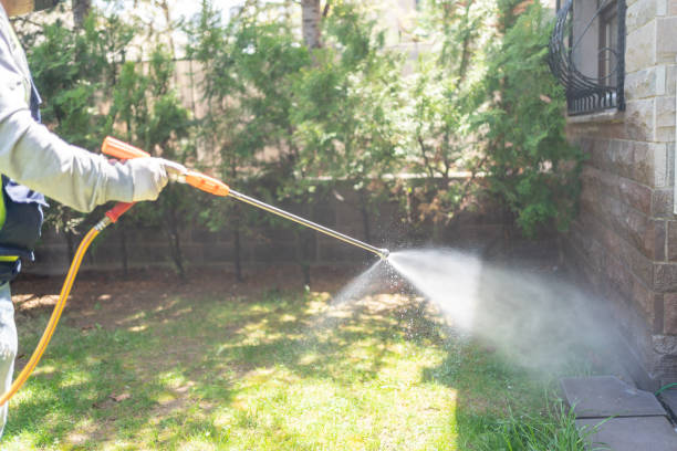 Best Wasp Removal Services  in Medford, MN
