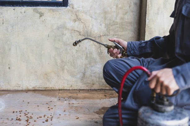 Best Affordable Pest Control Services  in Medford, MN