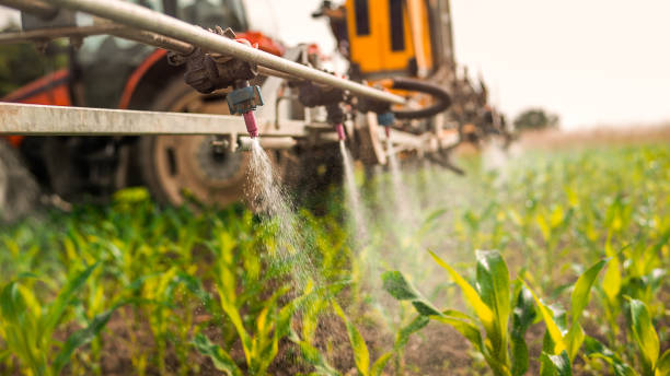 Pest Control Cost in Medford, MN